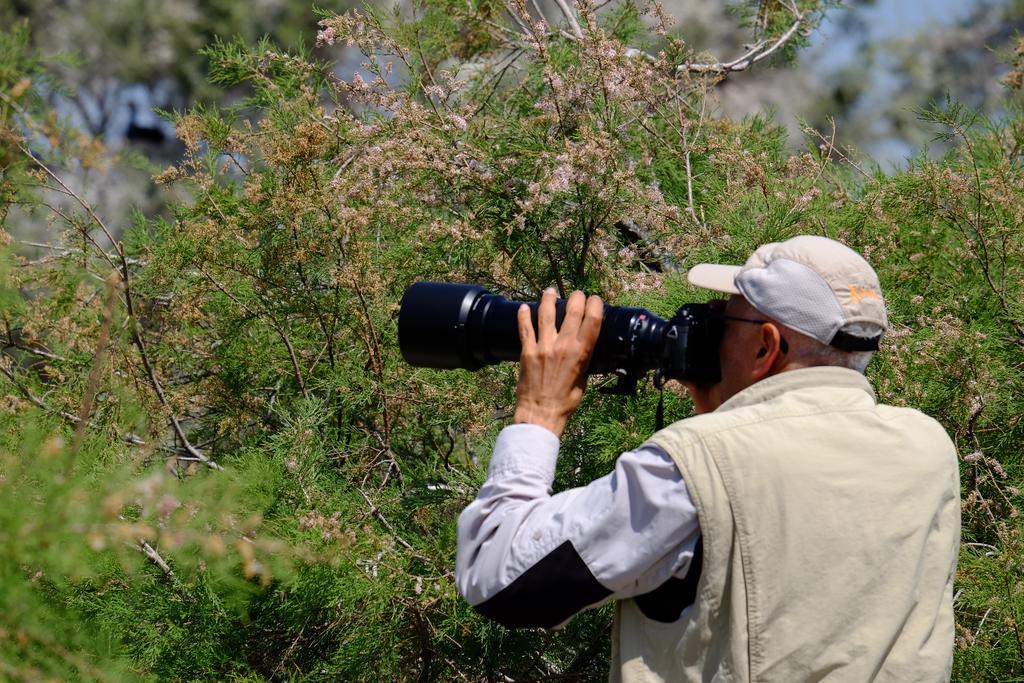 Selenes Pansiyon Kapikiri Exteriér fotografie